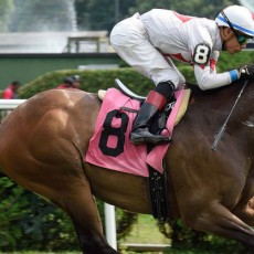 Adirondack Dancer runs 1st Place @ Belmont On 8/15/2015