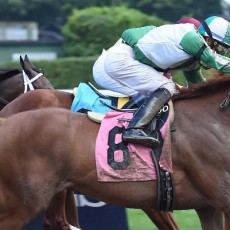 Backwood Bay runs 1st Place @ Belmont On 8/15/2015