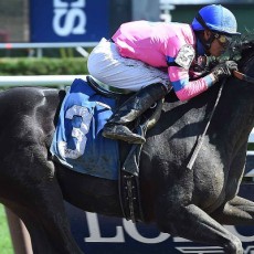 Big Thrill runs 1st Place @ Belmont On 8/12/2015