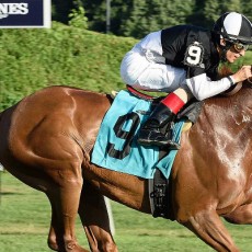 Egyptian Magic runs 1st Place @ Belmont On 8/12/2015