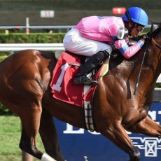 Championofthenile runs 1st Place @ Belmont On 9/4/2015