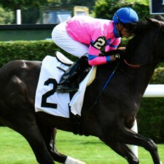 Forever In Love runs 1st Place @ Saratoga On 8/28/2015