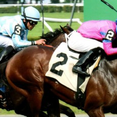 Hotinthehamptons runs 1st Place @ Belmont On 10/9/2015