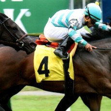 Uncle Southern runs 1st Place @ Belmont On 9/27/2015
