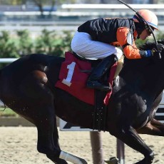 B Three runs 1st Place @ Aqueduct On 11/14/2015