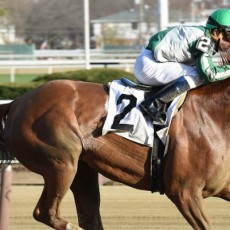 Half Dreamin runs 1st Place @ Aqueduct On 11/27/2015