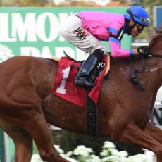 Hot City Girl runs 1st Place @ Belmont On 10/29/2015