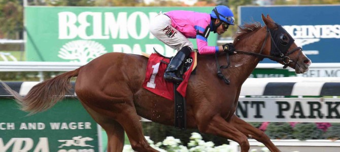 Hot City Girl runs 1st Place @ Belmont On 10/29/2015
