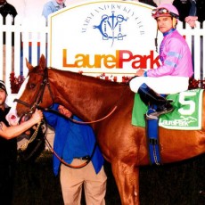 Hot City Girl runs 1st Place @ Laurel On 11/14/2015