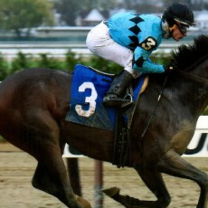 Irish Cat runs 1st Place @ Aqueduct On 11/12/2015