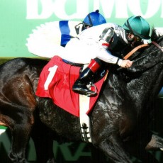 Make A Decision runs 1st Place @ Belmont On 10/30/2015