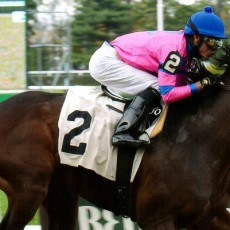 Matt King Coal runs 1st Place @ Belmont On 10/29/2015