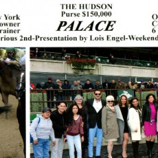 Palace runs 1st Place @ Belmont On 10/24/2015
