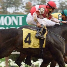 Scat Away runs 1st Place @ Belmont On 10/25/2015