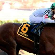 Sheriffa runs 1st Place @ Aqueduct On 11/15/2015