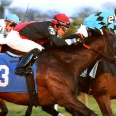 E J’s Legacy runs 1st Place @ Aqueduct On 11/29/2015