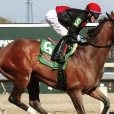 Afleet Skier Wins @ PARX On March 7th, 2016