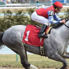 Army Brat Wins @ AQU On March 11th, 2016