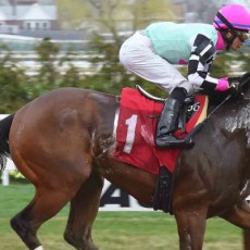 Championofthenile Wins @ AQU On March 25th, 2016