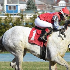 Crystal Pier Wins @ AQU On March 17th, 2016