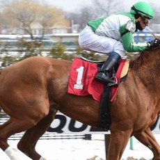 Half Dreamin Wins @ Aqueduct On March 4th, 2016