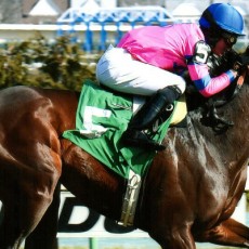 Matt King Coal Wins @ Aqueduct On March 6th, 2016