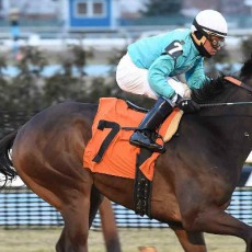 Only The Truth Wins @ Aqueduct On March 3rd, 2016