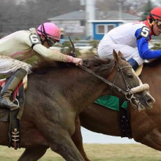 Pretension Wins @ AQU On March 13th, 2016