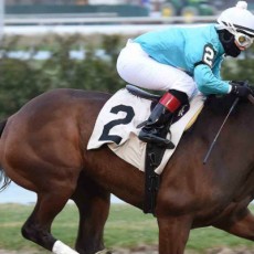 Reckless Humor Wins @ AQU On March 20th, 2016
