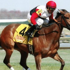 Battle Tux Wins @ PARX On March 22nd, 2016