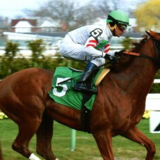 Gypsum Johnny Wins @ AQU On March 26th, 2016