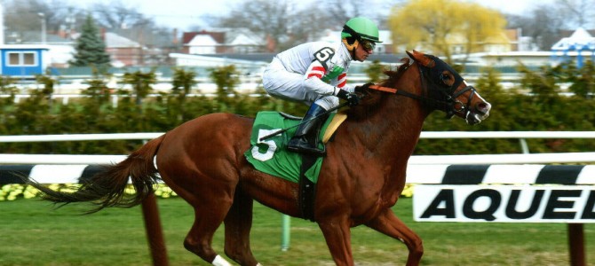 Gypsum Johnny Wins @ AQU On March 26th, 2016