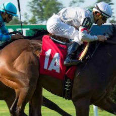 Altar Boy Wins @ BEL On June 24th, 2016