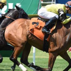 Candy For Kisses Wins @ BEL On June 26th, 2016