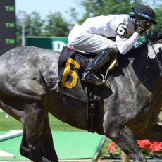 Narvaez Wins @ BEL On June 16th, 2016