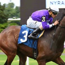 Wild Chatter Wins @ BEL On July 3rd, 2016