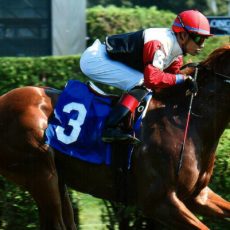 New York’s Finest Wins 3 for 3 at Saratoga