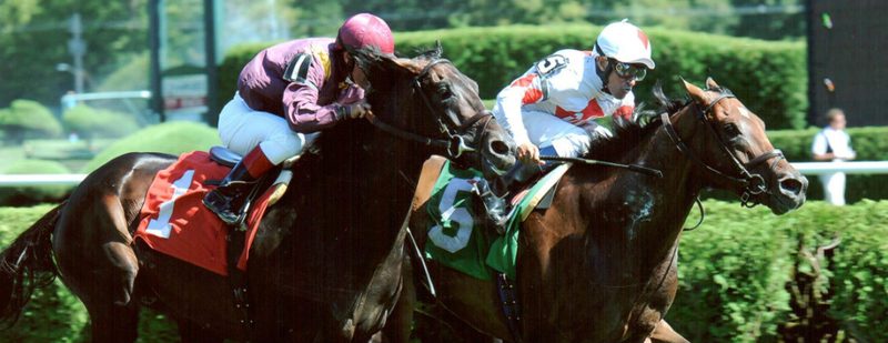 Adirondack Dancer Wins at Saratoga on August 24, 2013