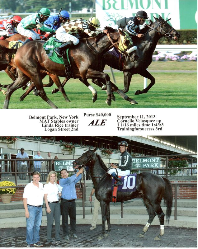 Ale — 9/11/13