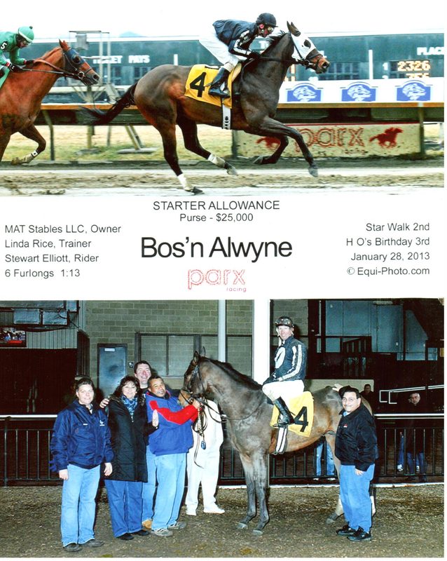 Bosn Alwyne — 1/28/13