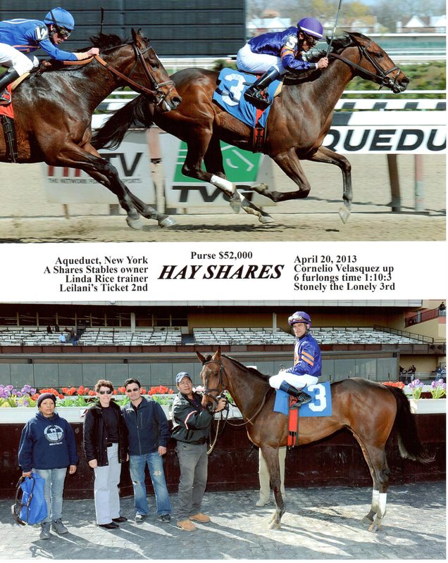 Hay Shares — 4/20/13