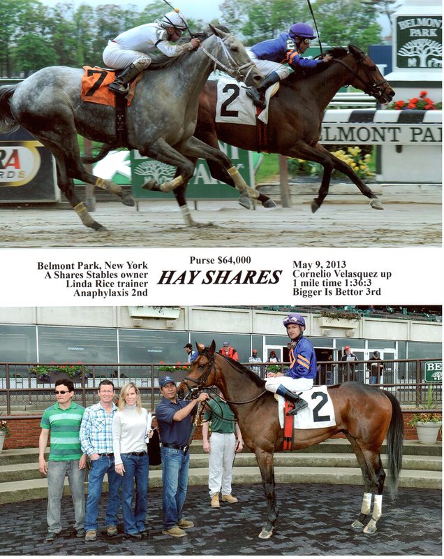 Hay Shares — 5/9/13
