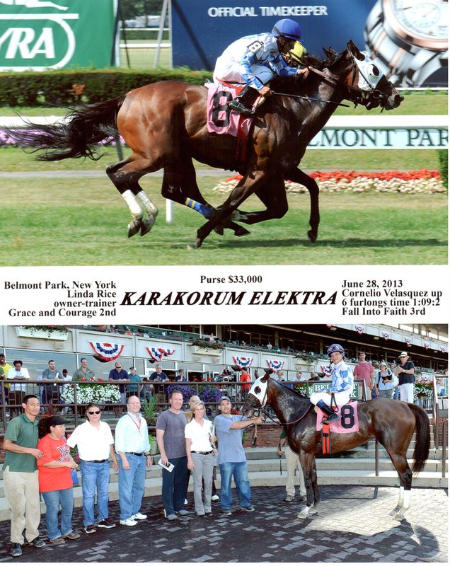 Karakorum Elektra — 6/28/13
