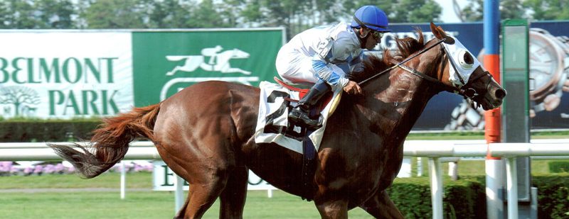 Karakorum Legend Wins at Belmont Park on June 27, 2013