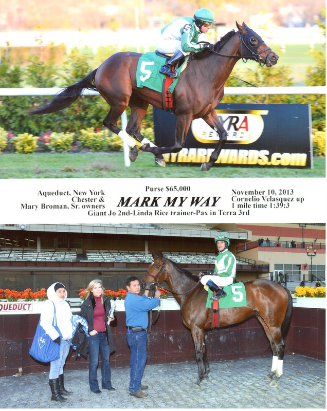 Mark My Way — 11/10/13