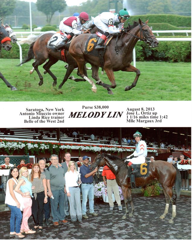 Melody Lin — 8/8/13