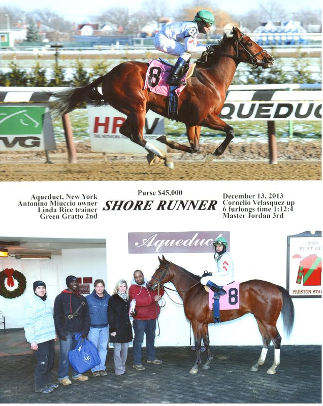 Shore Runner — 12/13/13