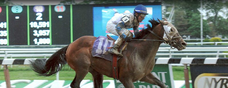 Blue Creek Wins at Belmont Park on May 25, 2013