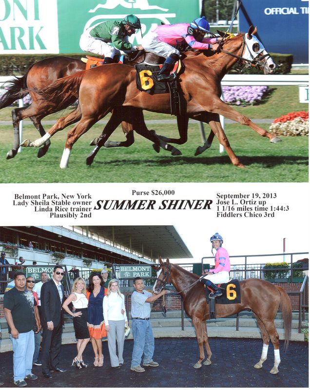 Summer Shiner — 9/19/13