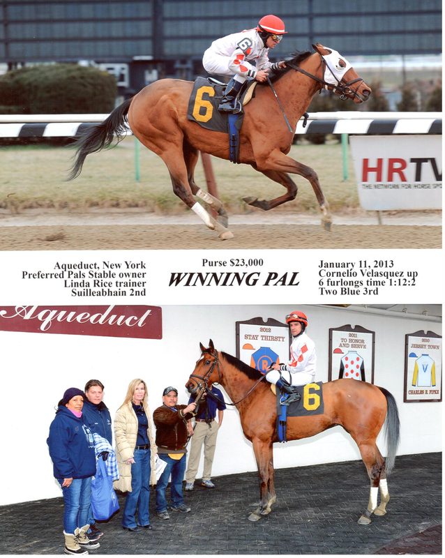 Winning Pal — 1/11/13